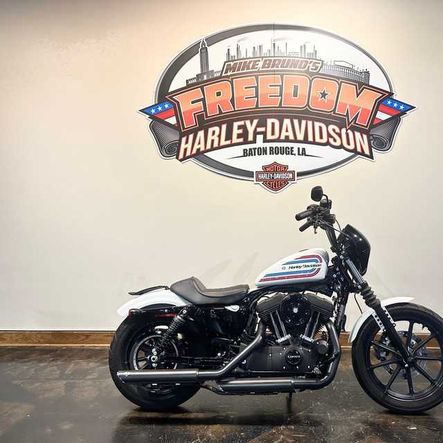 2021 Harley-Davidson  - STONE WASHED WHITE PEARL